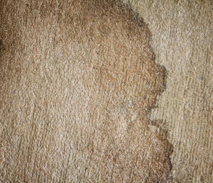 Soiled Carpet