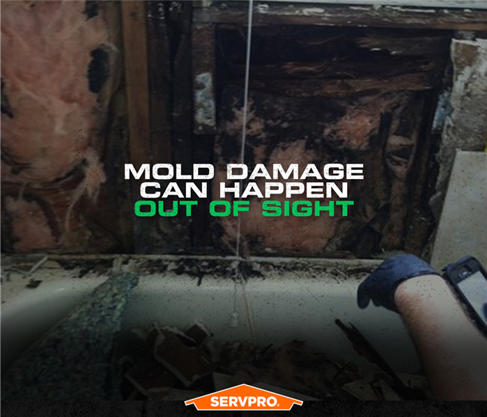 Mold on sheetrock removed from bottom of a wall with the caption: Mold Damage Can Happen Out of Sight