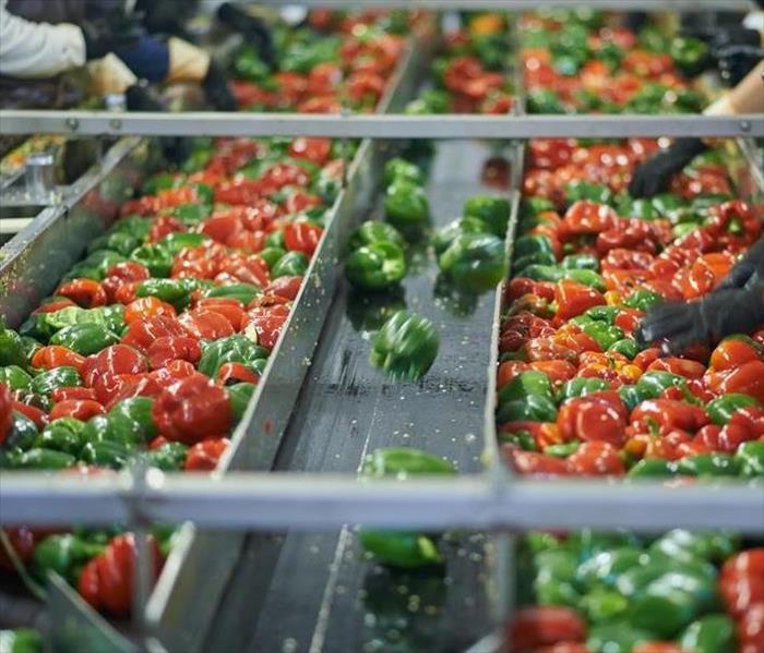 Vegetables on a conveyor belt .