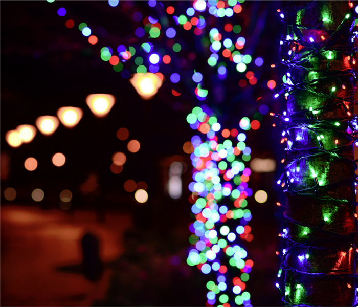 Christmas lights at night
